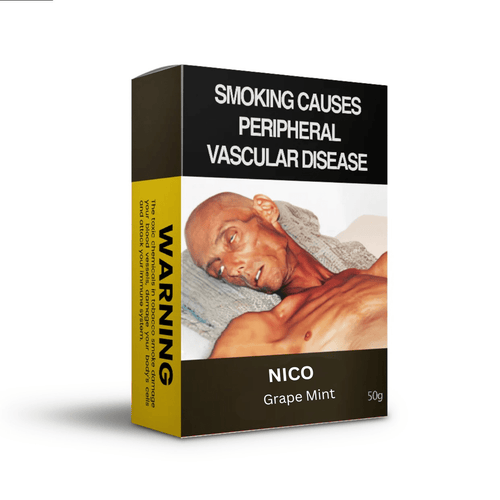 NICO - Grape with Mint - Shisha Daddy NZ Limited